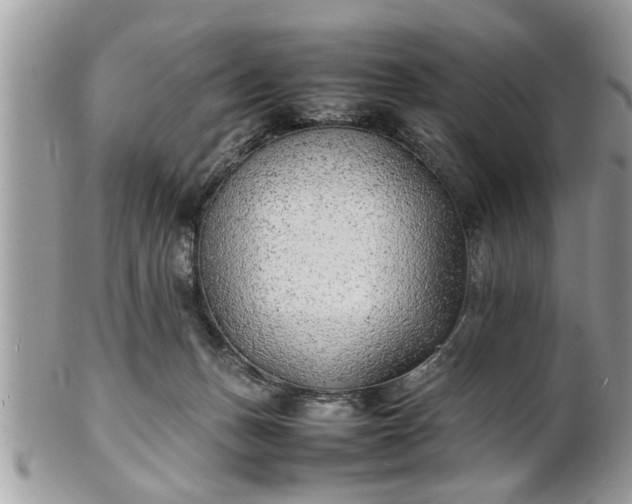 X0000101220175200807071356