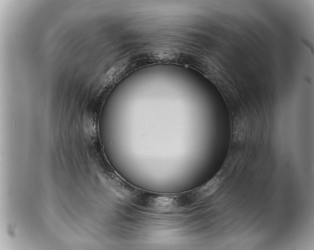 X0000101220176200807071356