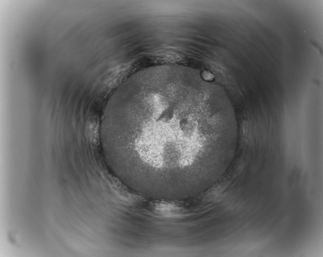 X0000101220177200807071356
