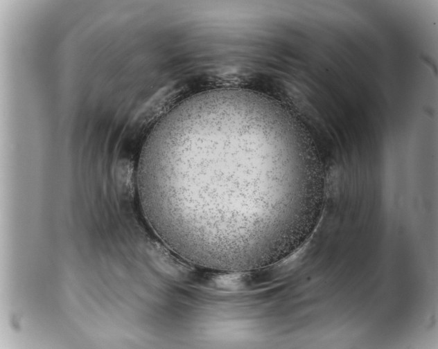 X0000101220178200807071356