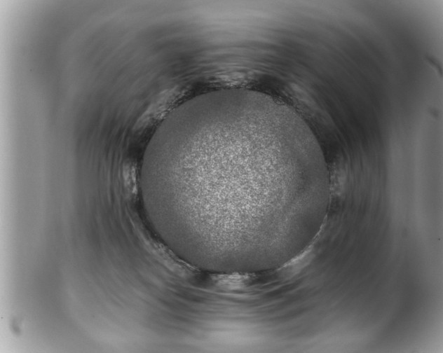 X0000101220182200807071356