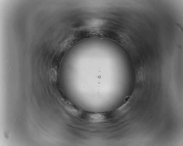 X0000101220183200807071356
