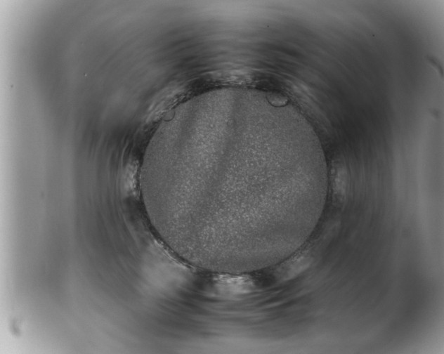 X0000101220185200807071356