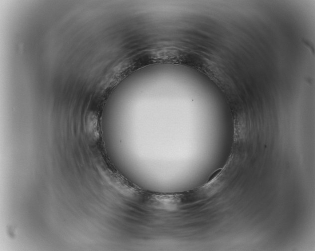 X0000101220187200807071356