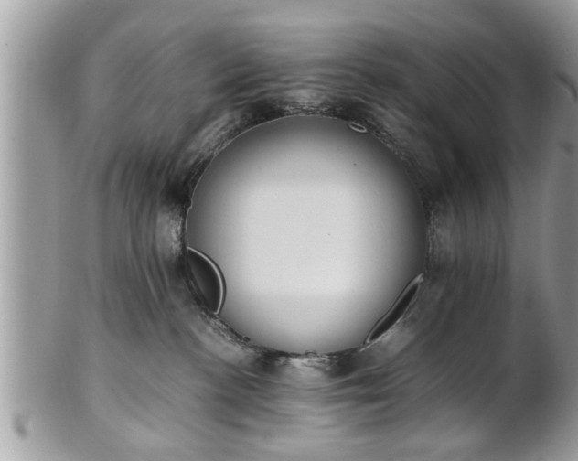 X0000101220188200807071356