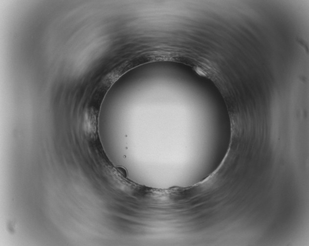X0000101220190200807071356
