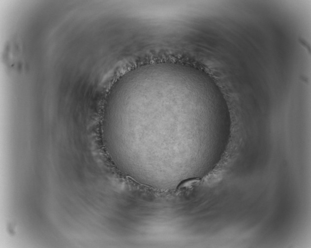 X0000101220192200807071356