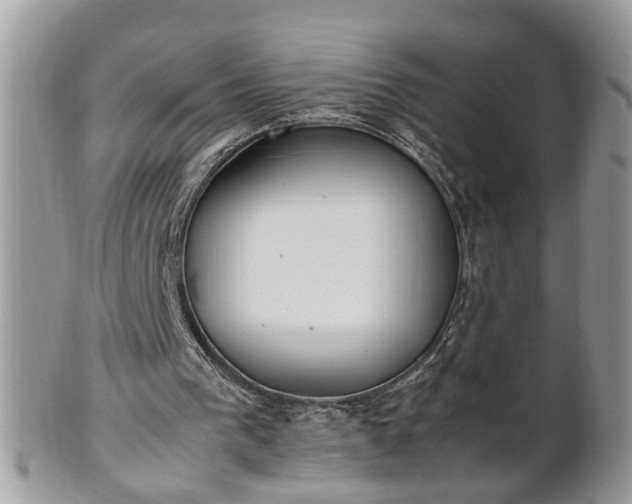 X0000101220193200807071356
