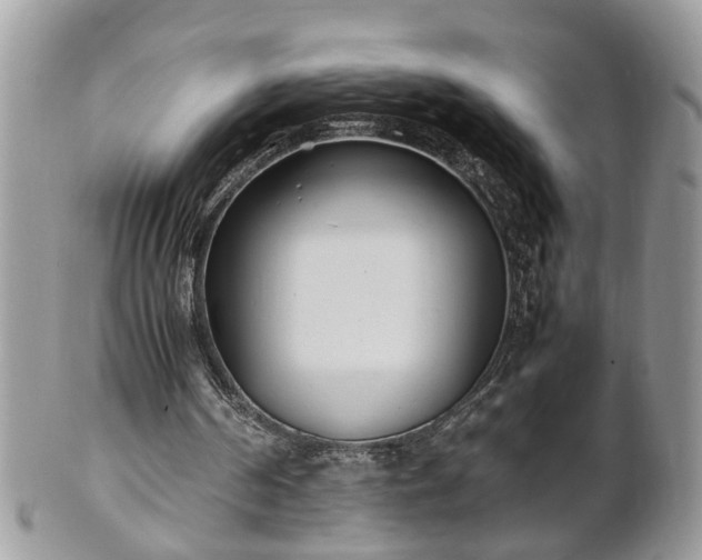 X0000101220194200807071356