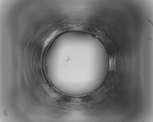 X0000101220195200807071356