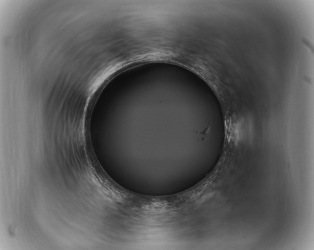 X0000101220196200807071356