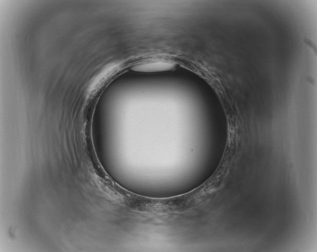 X0000101220197200807071356