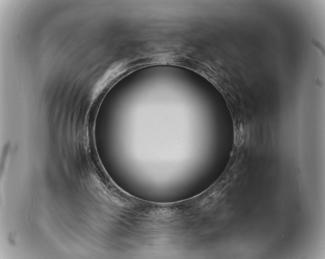 X0000101220198200807071356