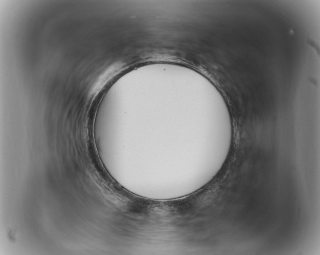 X0000101220199200807071356