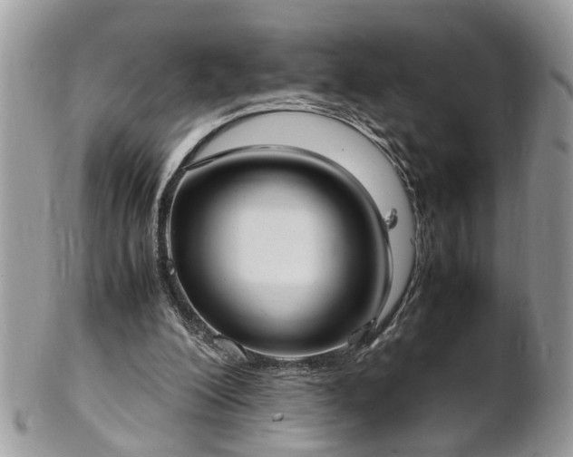 X0000101220200200807071356