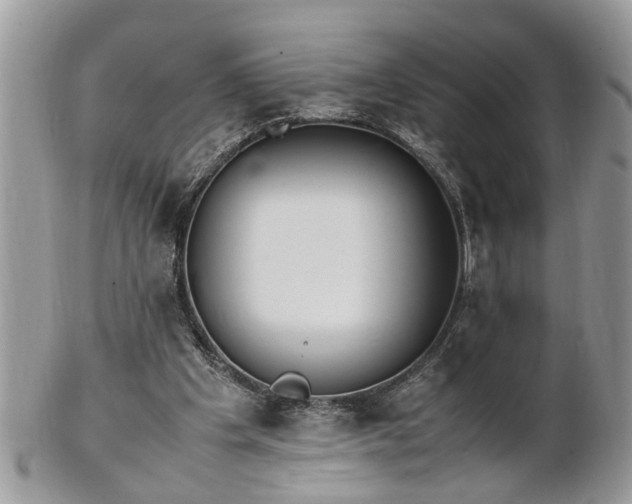 X0000101220201200807071356