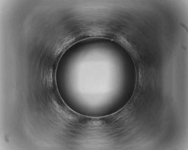 X0000101220202200807071356
