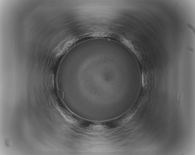 X0000101220205200807071356