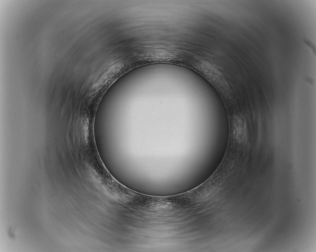 X0000101220206200807071356