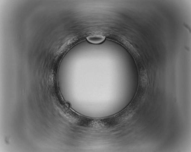 X0000101220207200807071356