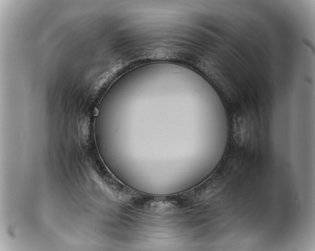 X0000101220208200807071356