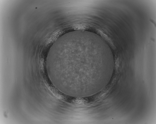 X0000101220209200807071356