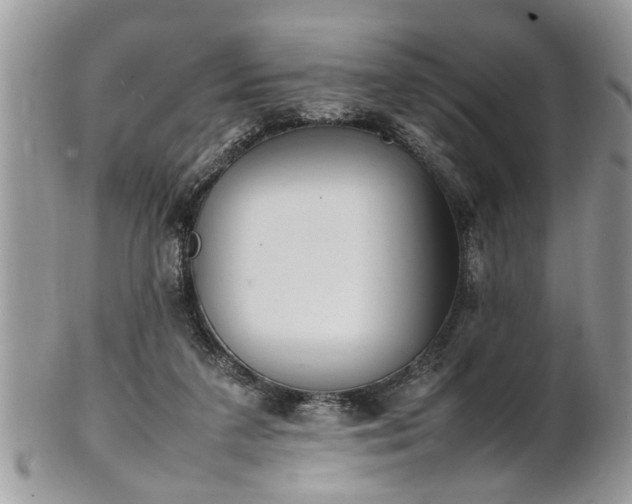 X0000101220211200807071355