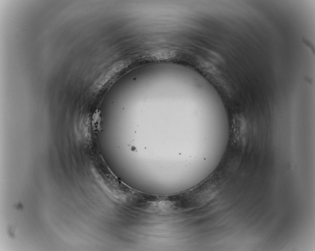 X0000101220212200807071355