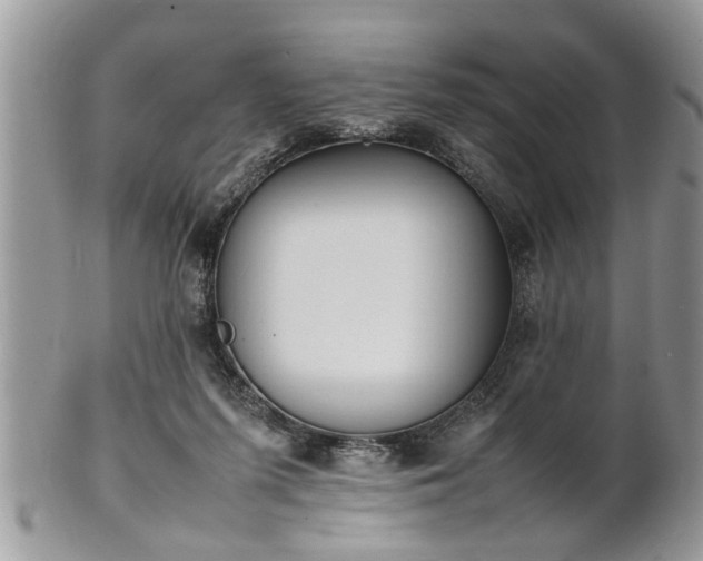 X0000101220215200807071355