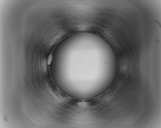 X0000101220216200807071355