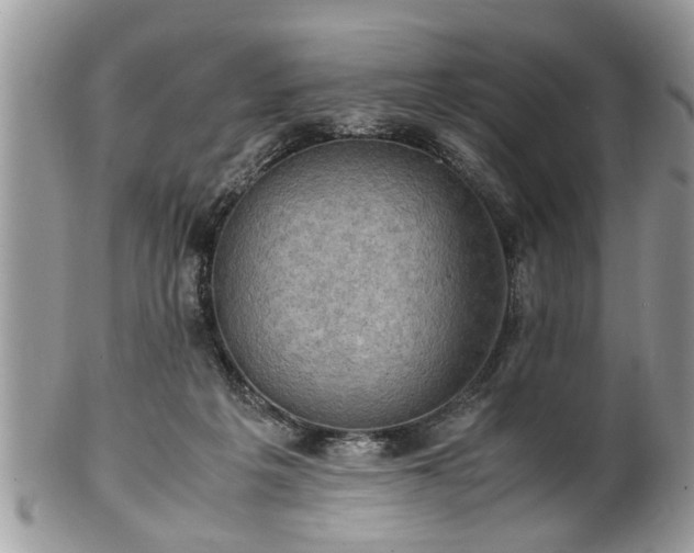 X0000101220217200807071355