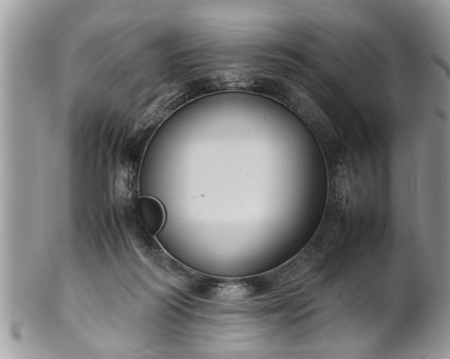 X0000101220218200807071355