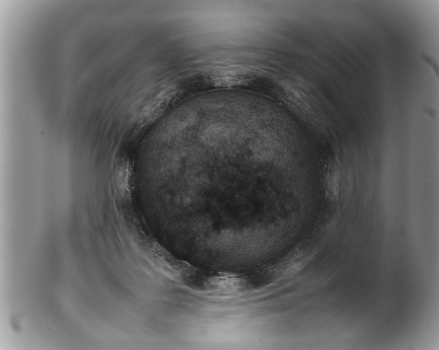 X0000101220219200807071355