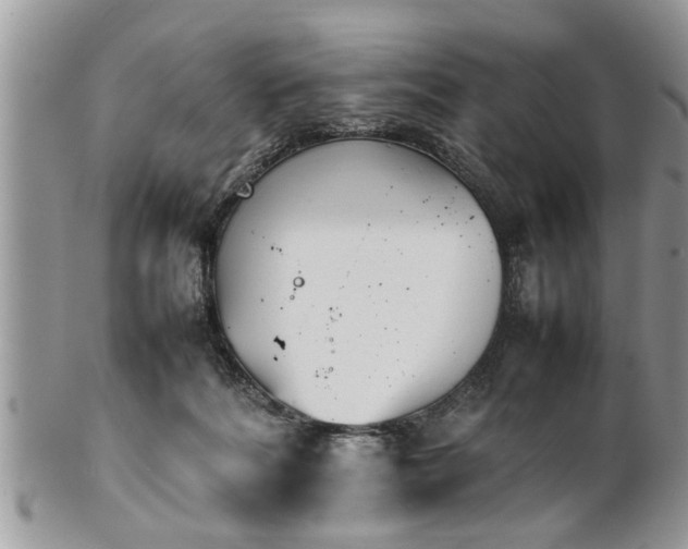 X0000101220220200807071355