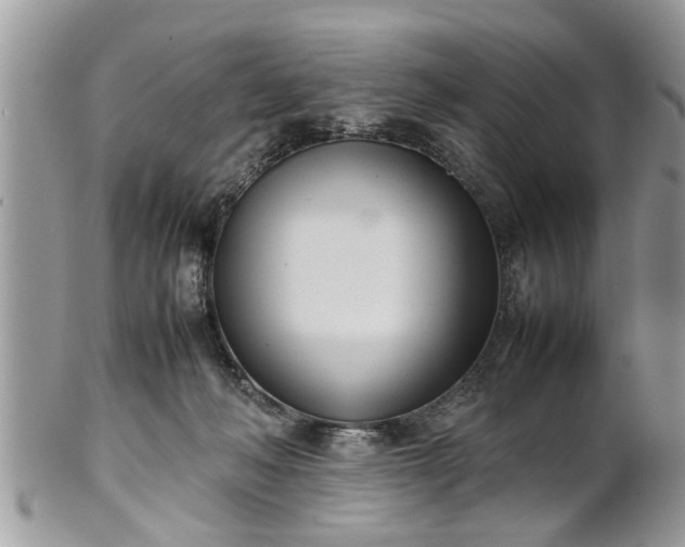 X0000101220222200807071355