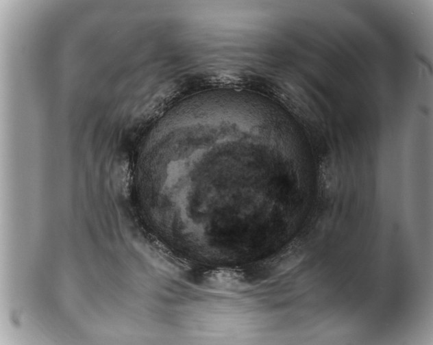 X0000101220223200807071355