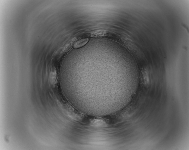 X0000101220224200807071355