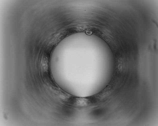 X0000101220226200807071355