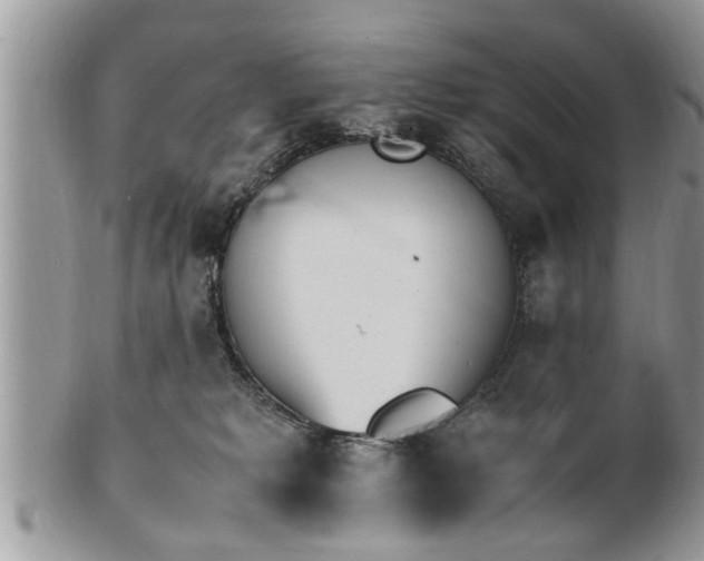 X0000101220229200807071355