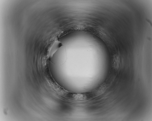 X0000101220230200807071355