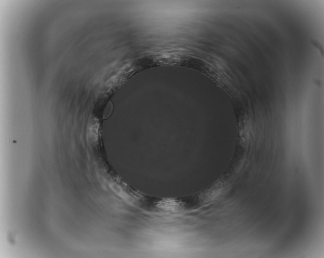 X0000101220231200807071355