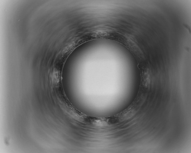 X0000101220232200807071355