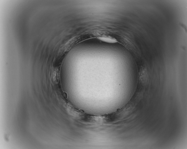 X0000101220233200807071355