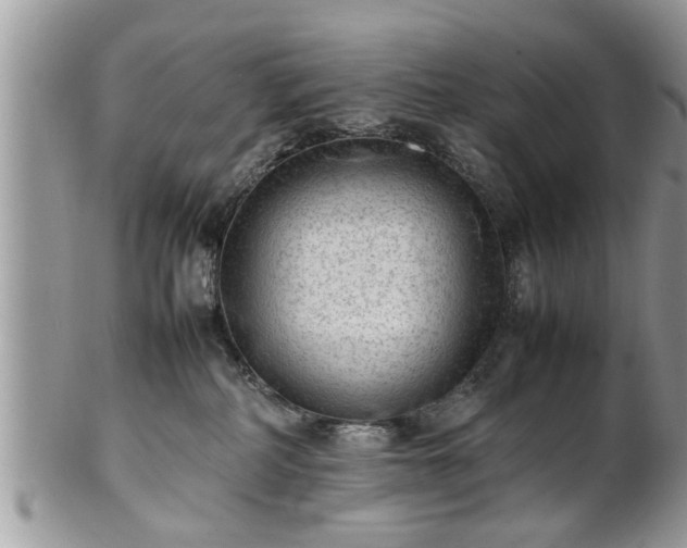 X0000101220234200807071355