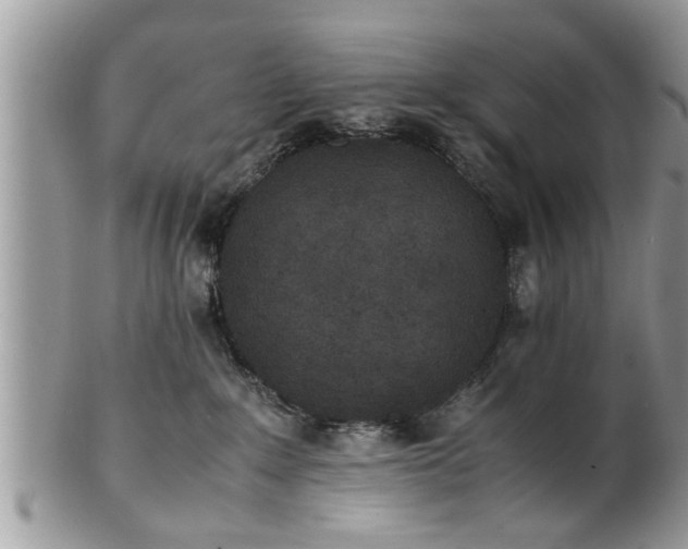 X0000101220235200807071355