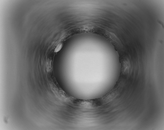 X0000101220236200807071355