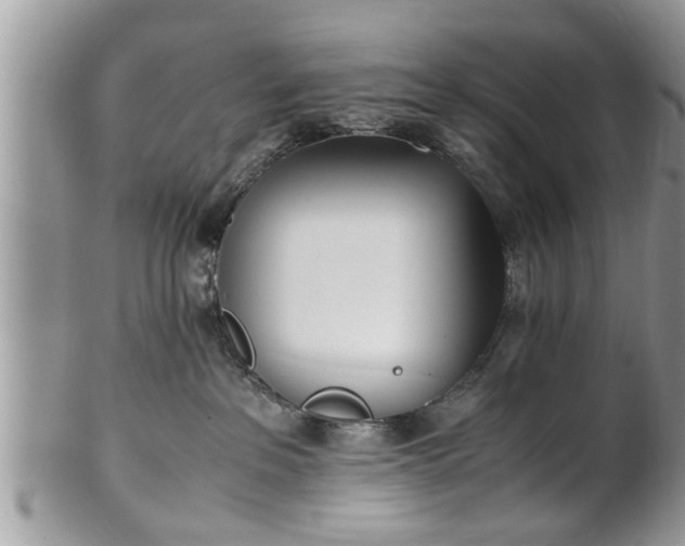 X0000101220237200807071355