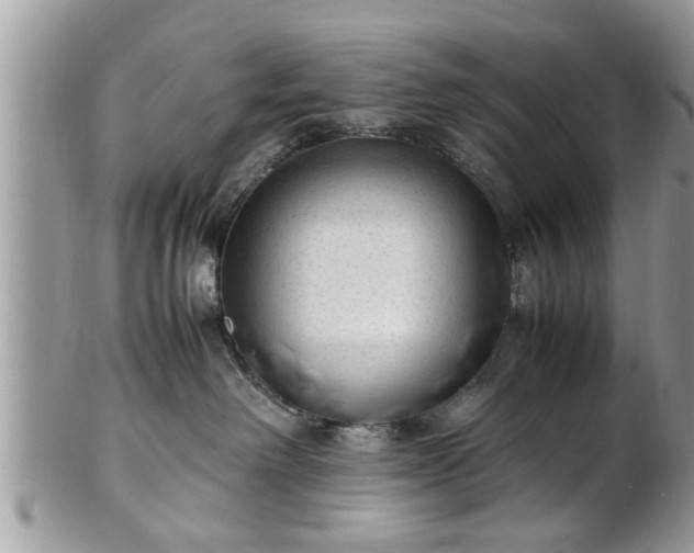 X0000101220238200807071355
