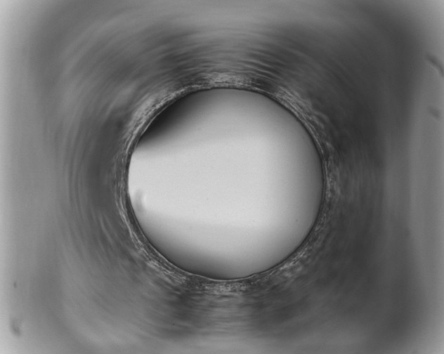 X0000101220241200807071354
