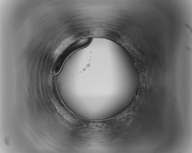 X0000101220242200807071354